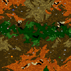 Поверхность карты "Дремучий лес"