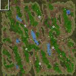 The surface of the map "Swamp Flowers"
