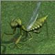 Богомол (mantis) - изобр. уменьшено